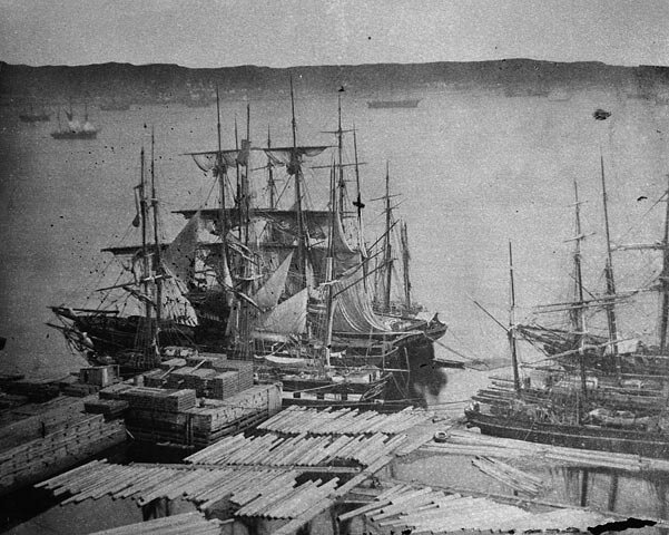 In the 19th century timber was the main product of the Canada. Here ships are loaded with timber in Quebec around 1860.